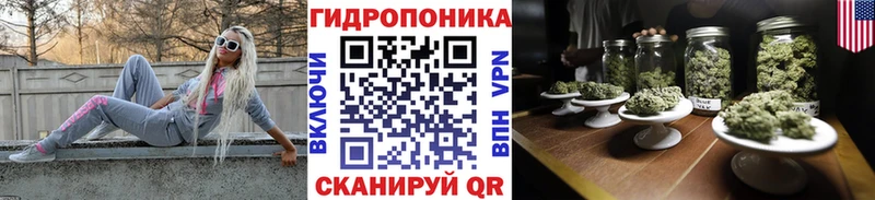 маркетплейс наркотические препараты  Ковров  МАРИХУАНА OG Kush 